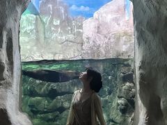 -南昌海洋公园
