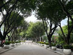 -仙岳公园