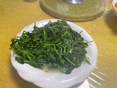 -煲来饱去冷水鱼