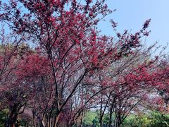 -艾溪湖湿地公园