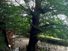 -大慈岩风景区