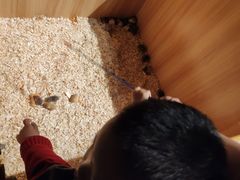 -zoonana室内动物园(东方福来德店)