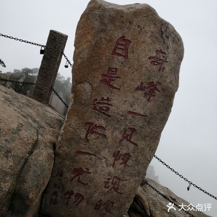 人间四月芳菲尽 花台杜鹃始盛开