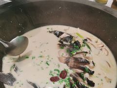 -滇色蒸汽石锅鱼(京华城店)