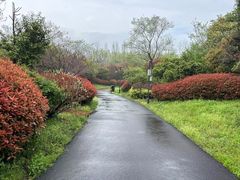 -嬉乐湾休闲旅游区