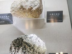 -安徽省地质博物馆