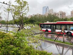 -攀枝花野菜铜火锅(万科凯德店)