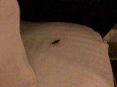 -正佳金殿维福顿公寓(广州正佳广场体育西路地铁站店)