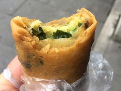 春卷-胡荣泉