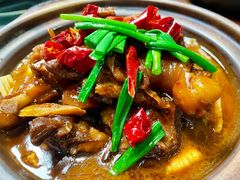 双东羊肉煲-金龙·打边炉(南京西路店)