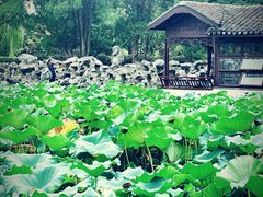 -无锡蠡湖国家湿地公园-蠡园