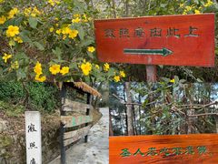 -寂照庵