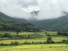 -水墨汀溪风景区