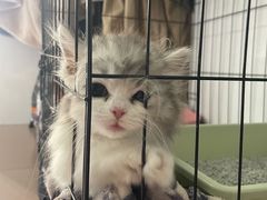 -贝利宠物医院·骨科·眼科·肿瘤转诊中心(南坪诊疗中心)