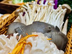 -鸿运诚羊蝎子·火锅(西单店)