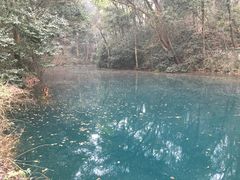 -之江大学-旧址