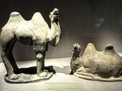-大同市博物馆