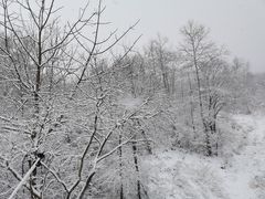 -鳌山滑雪度假区