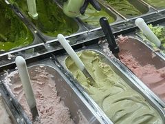 -鹤茶野所(上海首店)