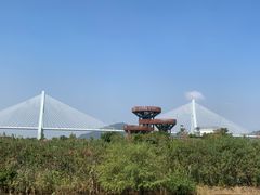 -芒洲湿地公园