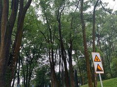 -缙云山景区