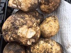 -Olé精品超市(苏州中心店)