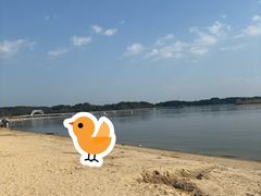-柳湖沙月沙滩公园