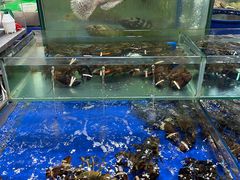 -东江海鲜酒家(艺都分店)
