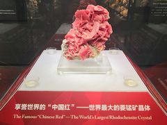 -湖南省地质博物馆