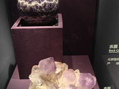-山东博物馆