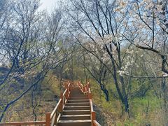 -大岭沟猕猴桃谷风景区