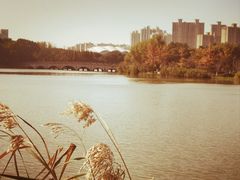 -昆山城市生态森林公园