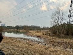 -昆山城市生态森林公园