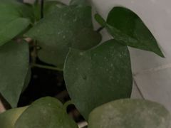 -雕刻时光咖啡馆(北师大店)