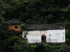 -杨家堂村
