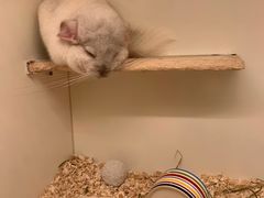 -龙猫仔乐园(惠福东路店)