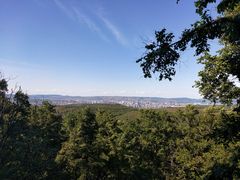 -帽儿山国家森林公园