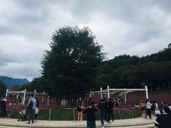 -牛岗山公园