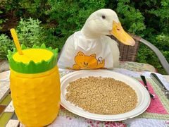 -裕丰西湖干菜饼