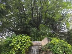 -九龙公园