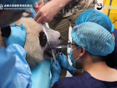 -柏乐口腔医院·舒适化无痛种植牙中心(东盟商务区院)