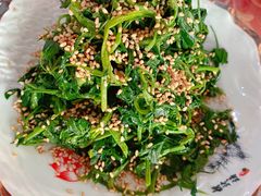 凉拌苜蓿-胡羊焖饼(敦煌店)