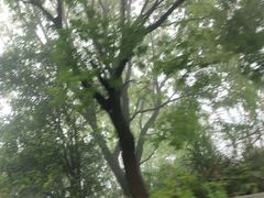 -渔寮风景区