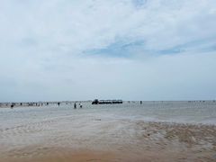-刘家湾赶海园