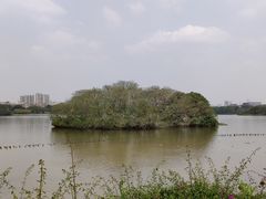-海珠湖公园