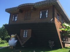 -金山农民画村-枫泾波兰倒置屋