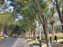 -广州市白云山风景名胜区