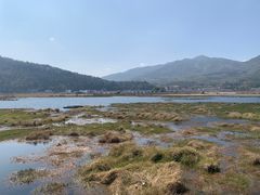 -腾冲北海湿地