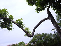 -金山公园