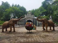 -保定市动物园